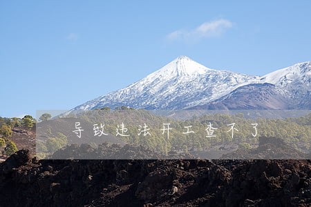 导致违法开工查不了 导致违法开工查不了