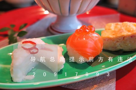 导航总是提示前方有违法拍照/2023020917893