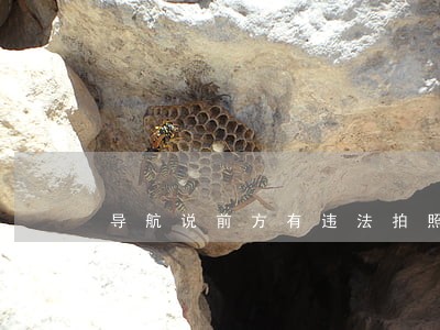 导航说前方有违法拍照什么意思 导航说前方有违法拍照什么意思