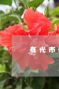 寿光市法院王志军