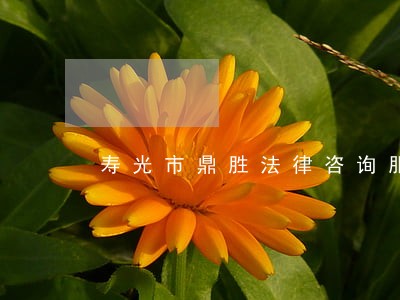 寿光市鼎胜法律咨询服务中心 寿光市鼎胜法律咨询服务中心