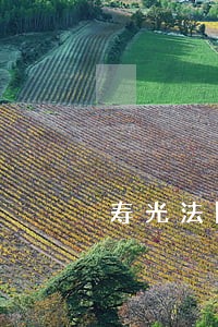 寿光法院王静是民几庭 寿光法院王静是民几庭