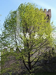 寿县合同审查在线律师咨询