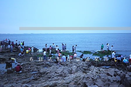 寿县法院开审孟某等七人涉黑案 寿县法院开审孟某等七人涉黑案
