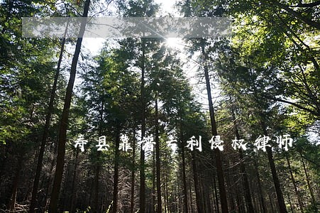 寿县靠谱专利侵权律师 寿县靠谱专利侵权律师
