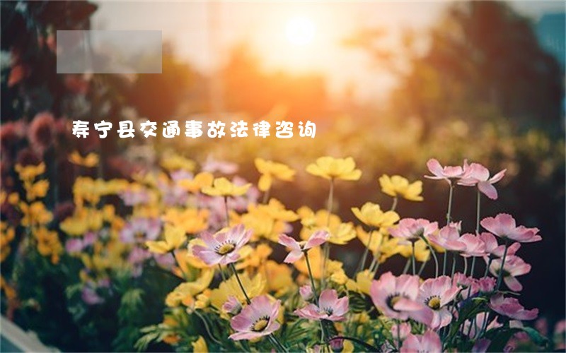 寿宁县交通事故法律咨询 寿宁县交通事故法律咨询
