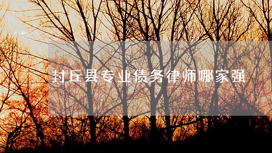 封丘县专业债务律师哪家强