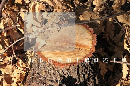 封卡后信用卡最低还卡算逾期吗