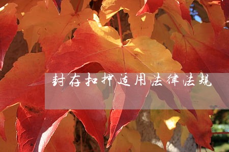 封存扣押适用法律法规 封存扣押适用法律法规