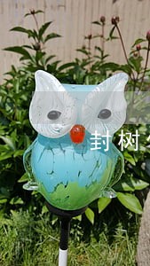 封树伟律师 封树伟律师