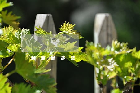 封路是违法 封路是违法