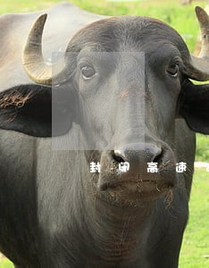 封闭高速公路违法吗 封闭高速公路违法吗