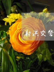 射洪交警全力整治酒驾违法不手软 射洪交警全力整治酒驾违法不手软