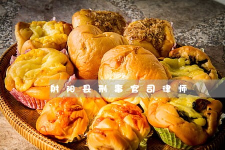 射阳县刑事官司律师