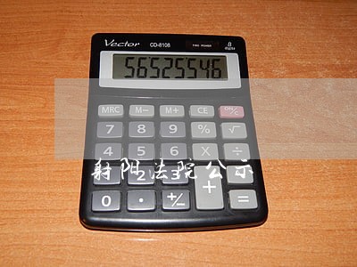 射阳法院公示 射阳法院公示
