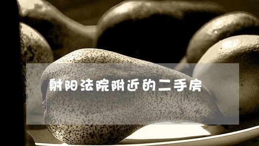 射阳法院附近的二手房
