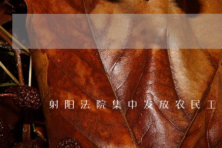 射阳法院集中发放农民工工资 射阳法院集中发放农民工工资