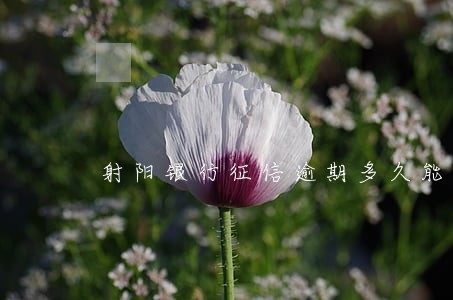 射阳银行征信逾期多久能消除 射阳银行征信逾期多久能消除