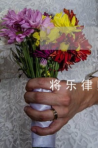 将乐律师推荐 将乐律师推荐