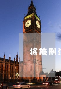 将依刑法定罪 将依刑法定罪