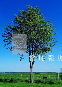 将加强执法严打水污染违法行为 将加强执法严打水污染违法行为