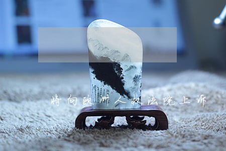 将向欧洲人权法院上诉 将向欧洲人权法院上诉