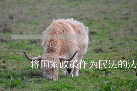 将国家政策作为民法的法源 将国家政策作为民法的法源