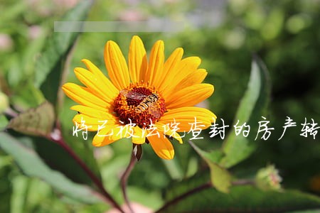 将已被法院查封的房产转让有效吗