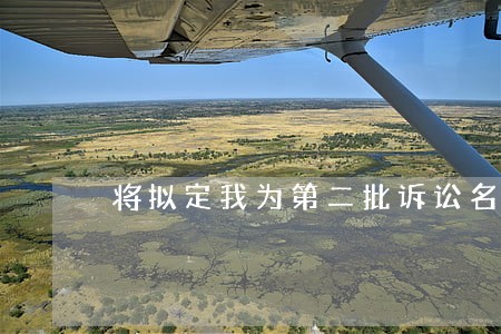 将拟定我为第二批诉讼名单 将拟定我为第二批诉讼名单