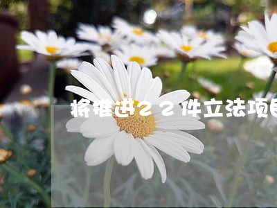 将推进22件立法项目 将推进22件立法项目