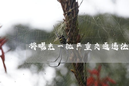 将曝光一批严重交通违法行为 将曝光一批严重交通违法行为