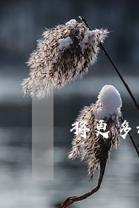 将更多科技成果运用到工作 将更多科技成果运用到工作