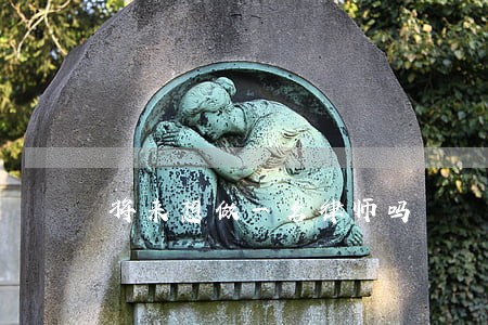 将来想做一名律师吗 将来想做一名律师吗