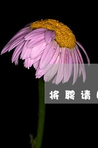 将聘请国际律师起诉 将聘请国际律师起诉