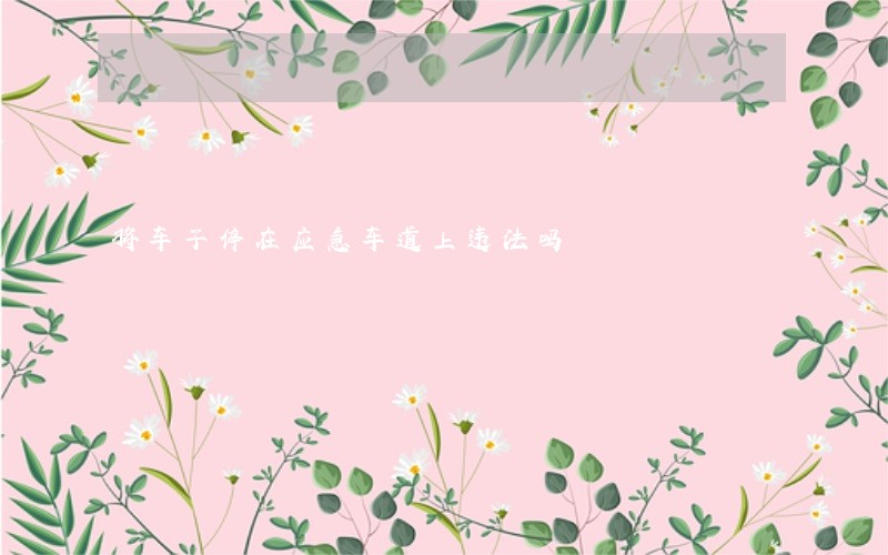 将车子停在应急车道上违法吗