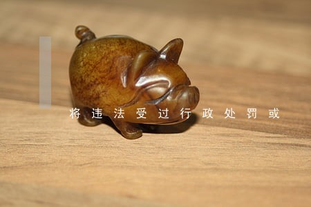 将违法受过行政处罚或 将违法受过行政处罚或