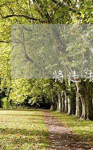 将违法线索 将违法线索