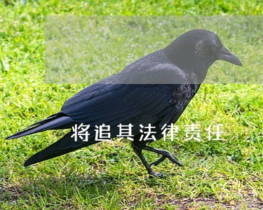 将追其法律责任 将追其法律责任
