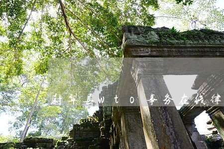尉犁县wto事务在线律师 尉犁县wto事务在线律师