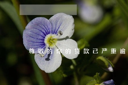 尊敬的你的贷款已严重逾期 尊敬的你的贷款已严重逾期