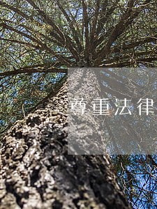 尊重法律威严 尊重法律威严
