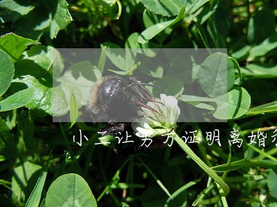 小三让男方证明离婚和她无关 小三让男方证明离婚和她无关