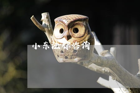 小东法律咨询