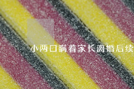 小两口瞒着家长离婚后续 小两口瞒着家长离婚后续