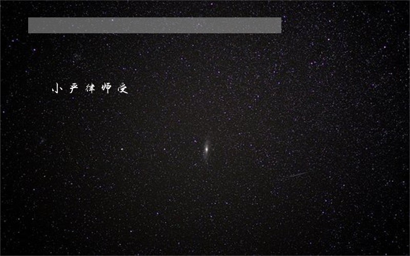 小严律师受 小严律师受