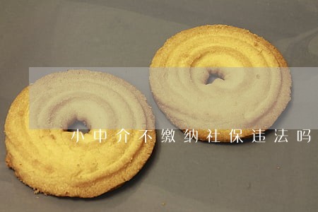 小中介不缴纳社保违法吗 小中介不缴纳社保违法吗