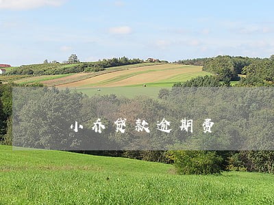 小乔贷款逾期费 小乔贷款逾期费