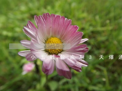 小五钱包逾期3天爆通讯录 小五钱包逾期3天爆通讯录