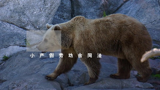 小产假劳动合同法 小产假劳动合同法