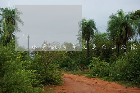 小产权房争议是否归法院管辖